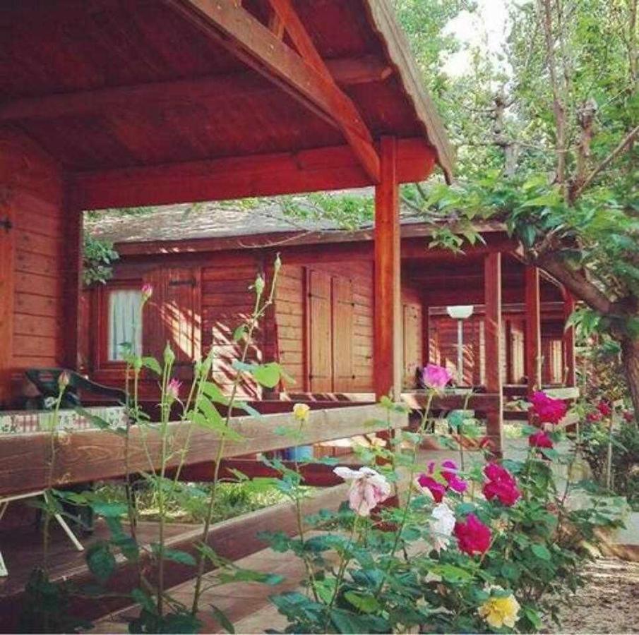 Bungalow & Camping Fuente De Regrustan Graus Luaran gambar